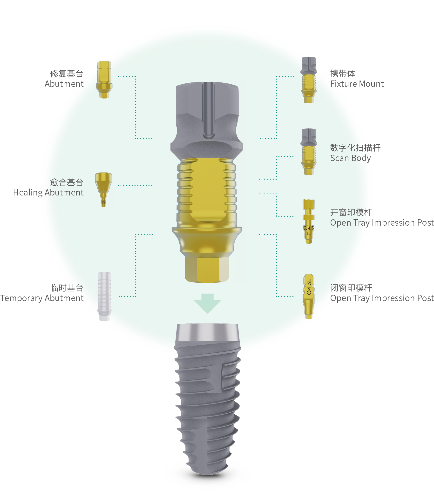 1709877251255443.png 種植系統(tǒng)優(yōu)勢.png